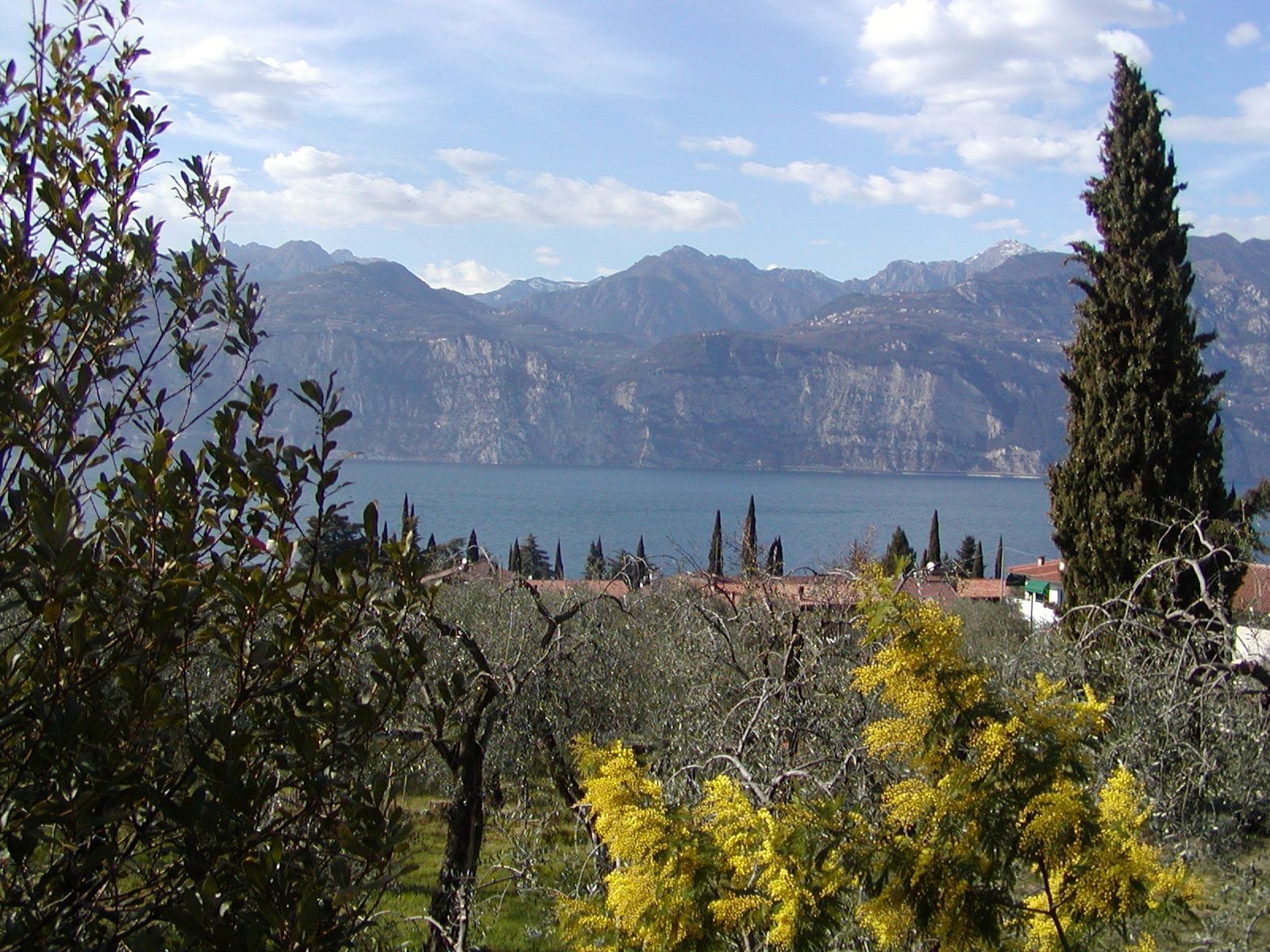 Lake Garda and the mountains of the west shore from Malcesine, in March.