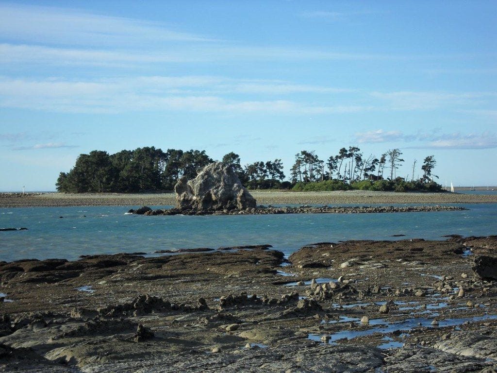 Rocks and a wooded islet off Tāhunanui Beach, March 2009.